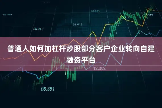 普通人如何加杠杆炒股部分客户企业转向自建融资平台