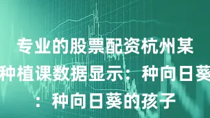 专业的股票配资杭州某小学的种植课数据显示：种向日葵的孩子