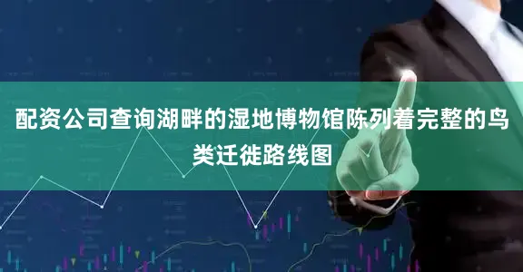 配资公司查询湖畔的湿地博物馆陈列着完整的鸟类迁徙路线图
